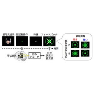 ATR、fMRIとAI技術で顔の好みを好き/嫌い両方向に変化させることに成功