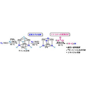 理研、窒素分子から直接二トリルを合成することに成功