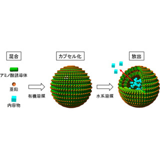 水に応答して内容物を放出する有機ナノカプセル - 産総研が開発