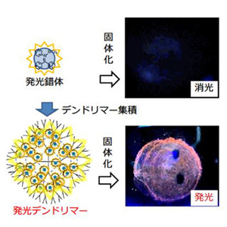 東工大、樹状構造の高分子「デンドリマー」を利用した新たな発光体を開発