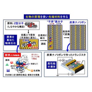 京大、生物を模倣した触媒反応で機能性炭素ナノリボンを合成