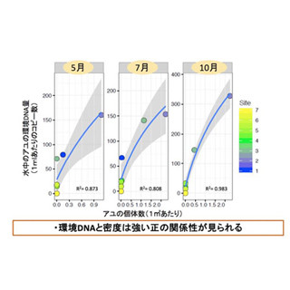 兵庫県立大と山口大、水中のDNA断片からアユの個体数・生物量の推定に成功