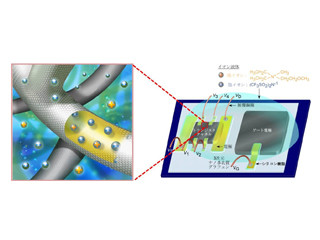 東北大など、3次元構造グラフェンによる電気2重層トランジスタの動作を確認