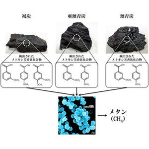 産総研、単独で石炭から直接メタンを生成するメタン生成菌を発見