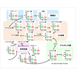 慢性疲労症候群患者の血漿成分中に特徴的な代謝物質 - 大阪市大が発見