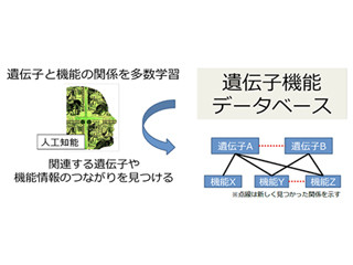 東京工科大、AI活用で遺伝子同士の相関関係を見つける手法を開発