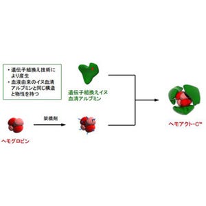 中大とJAXA、イヌ用人工血液の合成に成功 - ヒト用に向けた研究も進行中