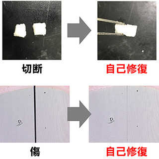 凹み傷も切り傷ももとに戻る自己修復材料 - 阪大が開発