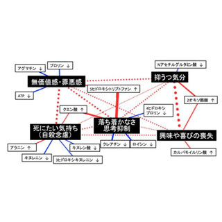 うつ病の重症度や"死にたい気持ち"に関わる血中代謝物を同定 - 九大など