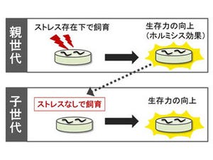 親世代が得たストレスへの耐性などは子孫にも受け継がれる - 京大