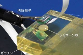 東大と東京電機大、MEMS6軸力センサ搭載鉗子で肺がんの大きさを算出