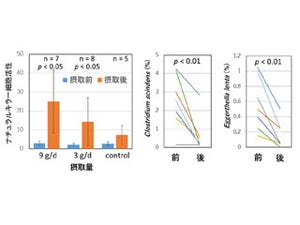 発酵パパイア粉末にナチュラルキラー細胞活性の回復効果 - 九大