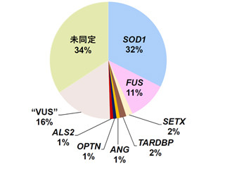 家族性ALSの原因遺伝子頻度は人種によって異なる - 東北大