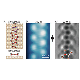 銅表面上に成長した「水のチェーン」を原子間力顕微鏡を用いて観察 - 東大