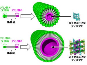 産総研、中分子/高分子を安定的に貯蔵可能なナノカプセルの開発に成功