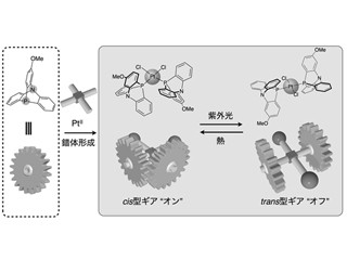 光と熱で構造を変化させるギア分子を開発 - 東大