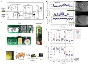 MIT研究者、胃酸で動作する電池を開発