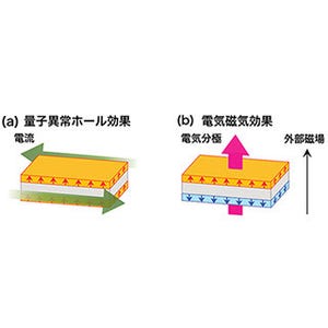 理研、トポロジカル絶縁体表面を絶縁化 - 特殊な電気磁気効果観測が期待