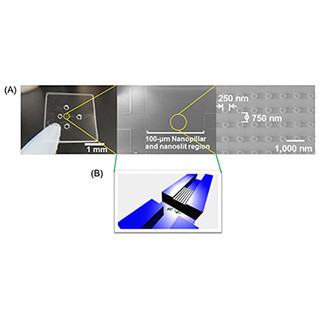 miRNAの分離・抽出工程を100ミリ秒以内で - 名大、ナノバイオデバイスを開発