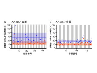 ゴキブリの繁殖に雄は不要 - 北大、雌3匹で単為生殖能力が早まることを確認