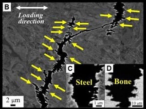 骨のように壊れ、金属疲労に強いミクロ構造を鉄骨材料で発見 - 九大