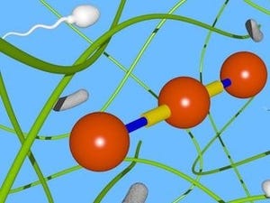 首都大学東京、ソフトマター中のマイクロマシンの新たな遊泳機構を発見