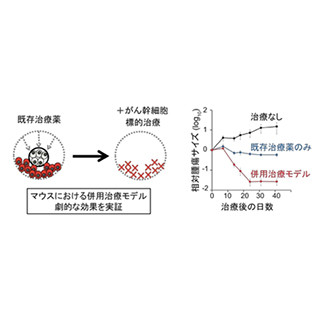 慶大、がん幹細胞の詳細な機能解析に成功 - ヒト大腸がん細胞の動態可視化で