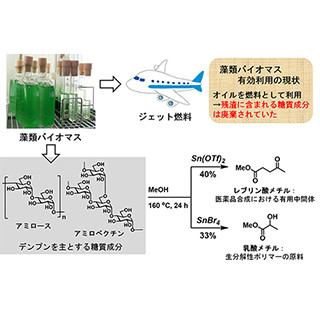 藻類オイル抽出残渣から化学品原料の合成に成功-藻類バイオマス技術確立へ