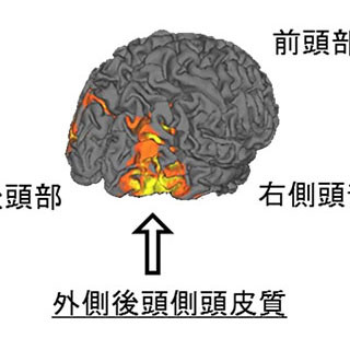 脳への微弱な電流刺激で身体のイメージ操作能力が高まる - 金沢大