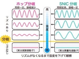 九大など、低温で体内時計が止まる原理を解明- 体内時計でも共鳴が起こる