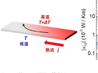 東大、マルチフェロイクスにおける巨大な熱ホール効果が生じることを発見