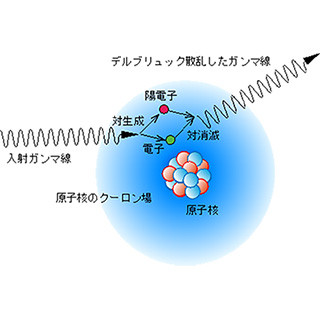 量研機構、「デルブリュック散乱」を計測できる条件を理論計算で発見