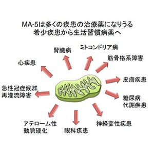 新たなATP産生メカニズムの解明 - ミトコンドリア病治療薬への応用も