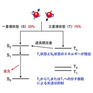 京大、有機EL素子の新しい発光機構と発光分子の設計指針を提案