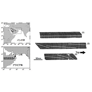観測記録が不足するオマーン湾の湧昇流発生をサンゴの骨格が記録