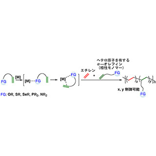 理研、さまざまなヘテロ原子を含む機能性ポリオレフィンの合成に成功