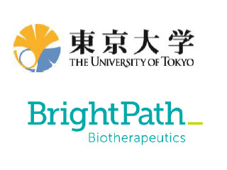 東大発のiPS細胞由来の若返り抗原特異的T細胞の基本特許が国内で成立