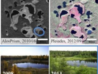 気候変動がかつてない速さで永久凍土生態系、地域社会に影響 - 東北大