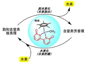 有機ハイドライドを用いて同一触媒での高効率な水素貯蔵・放出を実現 - 京大