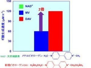 人工補酵素を用いた二酸化炭素のギ酸への光還元の効率化に成功 - 大阪市大