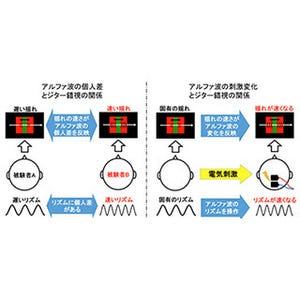 ジター錯視の揺れは脳内に存在するアルファ波のリズムから生じる - NICT