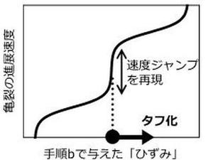 タイヤの耐久性向上へ- お茶大、ゴム材料の60年来の課題を解明