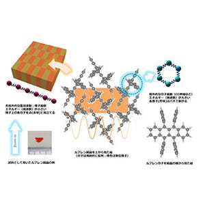 有機半導体の電荷は集団振動と局所振動から多彩な影響を受ける - 分子研