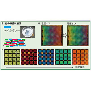 北大、二段階のテンプレート化で光学的に制御可能な高分子安定化液晶を作成