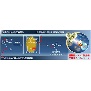 天然では得られないアミノ酸を作る基本技術を開発-東大生研、山口大