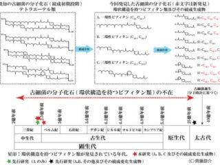 東北大、古細菌が消えてしまう謎を解明 - 2億年より古い時代の調査が簡単に