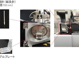 名大、鍼灸針を用いた新規分析法でマウス脳内のメタボライトの分析に成功