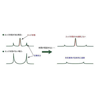 開放量子系における特殊な状態に関する理論を構築、実験で裏付け -　北大