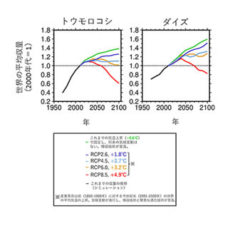 温暖化により世界の穀物収量の伸びは鈍化 農研機構など推計