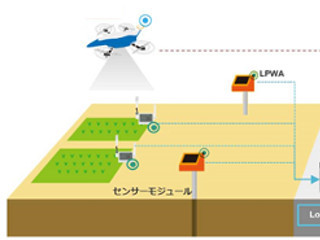 オプティムと藤枝市、AI・IoTを活用した圃場管理支援事業を開始